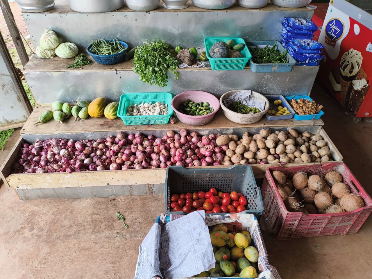 Fresh vegetables, onions, potatoes and coconuts on display